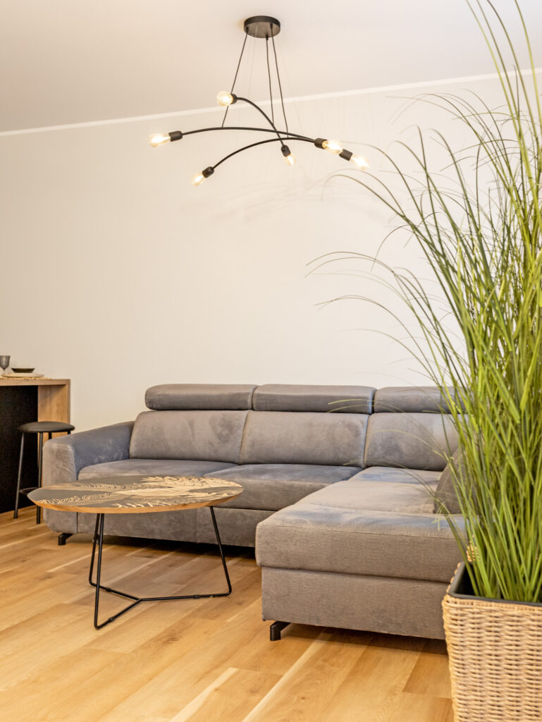 Salon w mieszkaniu na wynajem – Kalisz, fotografia wnętrz